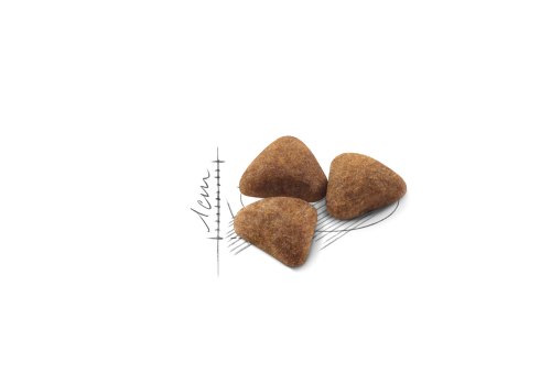 Royal Canin Indoor / Сухой корм Роял Канин Индор для кошек Живущих в помещении