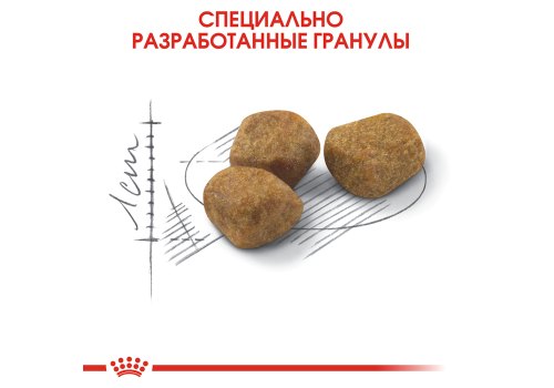 Royal Canin Indoor 7+ / Сухой корм Роял Канин Индор для Пожилых кошек старше 7 лет Живущих в помещении