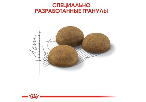 Royal Canin Indoor Long Hair / Сухой корм Роял Канин Индор Лонг Хэйр для Длинношерстных кошек Живущих в помещении
