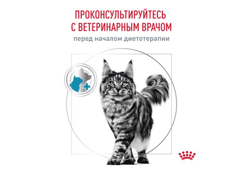 Royal Canin Hypoallergenic DR25 / Ветеринарный сухой корм Роял Канин Гипоаллергенный для кошек Пищевая аллергия и непереносимость
