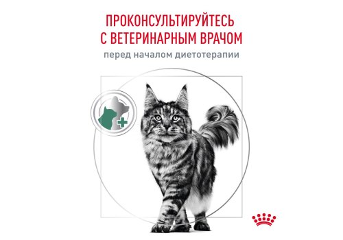 Royal Canin Diabetic DS46 / Ветеринарный сухой корм Роял Канин Диабетик для кошек Сахарный диабет