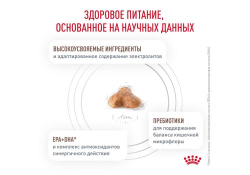 Royal Canin Gastrointestinal Fibre Response / Ветеринарный сухой корм Роял Канин Фибр Респонс для кошек Нарушения пищеварения (запоры)