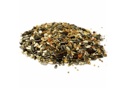 Fiory Parrocchetti Africa / Корм Фиори для Средних попугаев