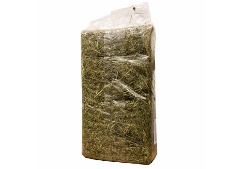 Fiory Evergreen / Сено Фиори для грызунов