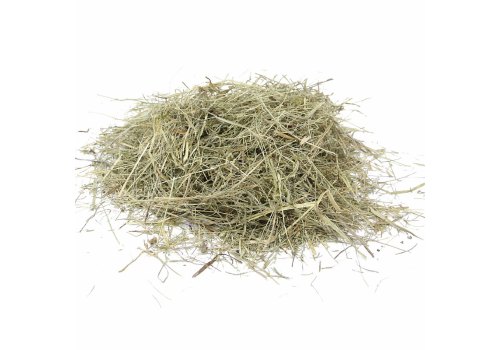 Fiory Evergreen / Сено Фиори для грызунов