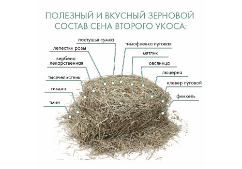 Fiory Alpiland Green / Сено Фиори для грызунов Альпийское с Люцерной