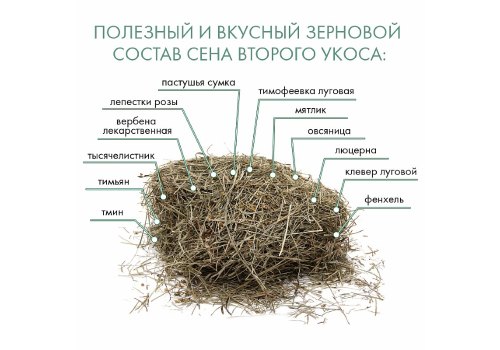 Fiory Alpiland Camomile / Сено Фиори для грызунов Альпийское с Ромашкой