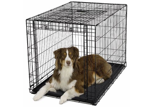 MidWest Ovation Single Door Crate / Клетка Мидвест с торцевой вертикально-откидной дверью Черная MidWest Ovation Single Door Crate / Клетка Мидвест с торцевой вертикально-откидной дверью Черная