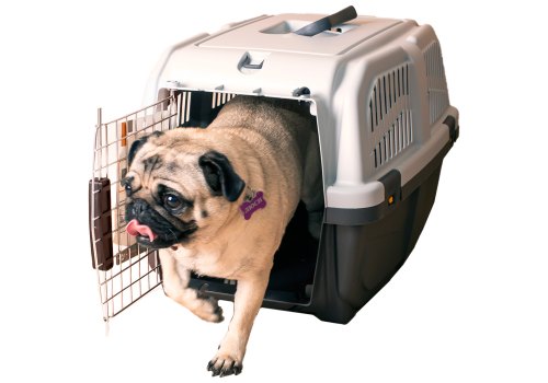 MPS Skudo 1-3 / МПС переноска с металлической дверцей с замком серая