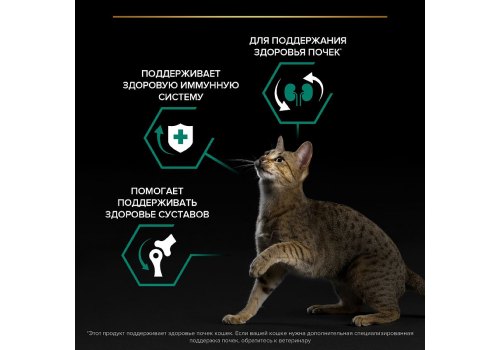 PRO PLAN ORIGINAL / Сухой корм ПРО ПЛАН для взрослых кошек для поддержания здоровья почек с курицей