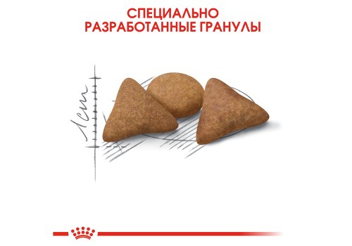 Royal Canin Indoor Appetite Control / Сухой корм Роял Канин Индор Аппетит Контрол для кошек Живущих в помещении и склонных к перееданию
