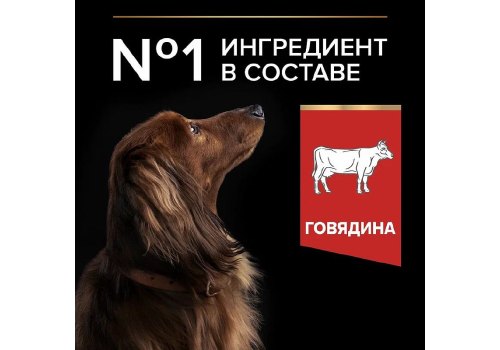 PRO PLAN DUO DELICE /Сухой корм ПРО ПЛАН для взрослых собак мелких пород с говядиной PRO PLAN DUO DELICE /Сухой корм ПРО ПЛАН для взрослых собак мелких пород с говядиной