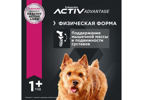 Eukanuba Adult Small Breed / Сухой корм Эукануба для взрослых собак Мелких пород с Курицей Eukanuba Adult Small Breed / Сухой корм Эукануба для взрослых собак Мелких пород с Курицей