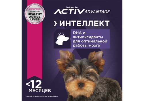 Eukanuba Puppy Toy Breed / Сухой корм Эукануба для Щенков Миниатюрных пород с Курицей