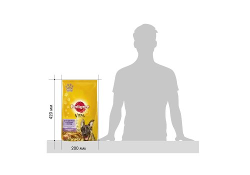 Pedigree / Сухой корм Педигри для Щенков Крупных пород с 6 месяцев Курица