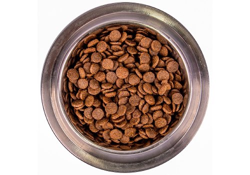 Monge Dog Puppy Medium / Сухой корм Монж для Щенков Средних пород