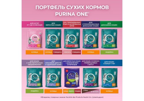 PURINA ONE KITTEN / Сухой корм Пурина УАН для котят с курицей