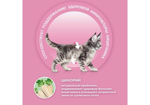 PURINA ONE KITTEN / Сухой корм Пурина УАН для котят с курицей
