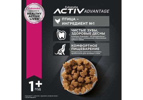 Eukanuba Adult Toy Breed / Сухой корм Эукануба для взрослых собак Миниатюрных пород с Курицей