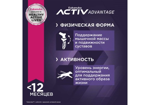 Eukanuba Puppy Toy Breed / Сухой корм Эукануба для Щенков Миниатюрных пород с Курицей