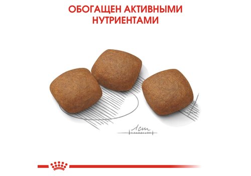 Royal Canin Maxi Joint Care / Сухой корм Роял Канин Макси Джойнт Кэа для взрослых собак Крупных пород помощь Суставам