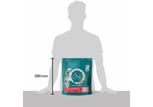 PURINA ONE STERILISED / Сухой корм Пурина УАН для взрослых стерилизованных кошек с лососем