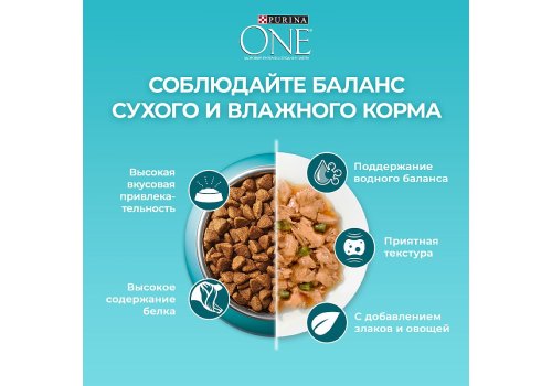 PURINA ONE STERILISED / Сухой корм Пурина УАН для взрослых стерилизованных кошек с лососем