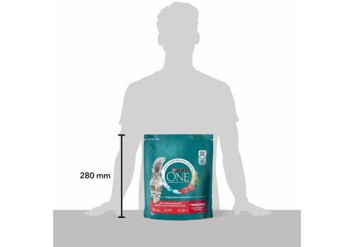 PURINA ONE STERILISED / Сухой корм Пурина УАН для взрослых стерилизованных кошек с говядиной