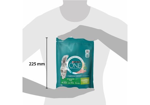 PURINA ONE HOUSECAT / Сухой корм Пурина УАН для взрослых кошек при домашнем образе жизни с индейкой