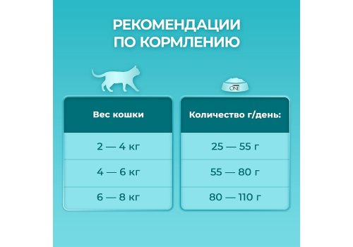 PURINA ONE HOUSECAT / Сухой корм Пурина УАН для взрослых кошек при домашнем образе жизни с индейкой