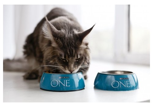 PURINA ONE HOUSECAT / Сухой корм Пурина УАН для взрослых кошек при домашнем образе жизни с индейкой