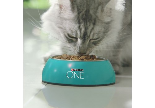 PURINA ONE SENIOR / Сухой корм Пурина УАН для пожилых кошек с курицей PURINA ONE SENIOR / Сухой корм Пурина УАН для пожилых кошек с курицей