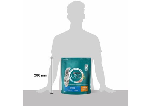 PURINA ONE SENIOR / Сухой корм Пурина УАН для пожилых кошек с курицей PURINA ONE SENIOR / Сухой корм Пурина УАН для пожилых кошек с курицей
