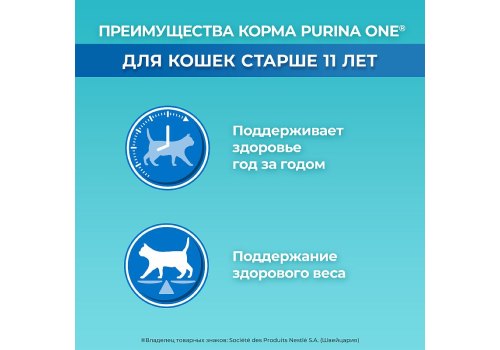 PURINA ONE SENIOR / Сухой корм Пурина УАН для пожилых кошек с курицей PURINA ONE SENIOR / Сухой корм Пурина УАН для пожилых кошек с курицей