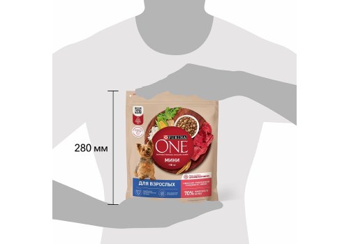 PURINA ONE ADULT / Сухой корм Пурина УАН для взрослых собак мелких пород с говядиной