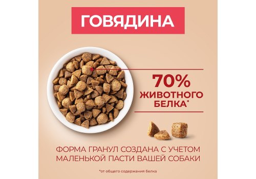 PURINA ONE ADULT / Сухой корм Пурина УАН для взрослых собак мелких пород с говядиной
