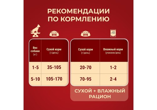PURINA ONE ADULT / Сухой корм Пурина УАН для взрослых собак мелких пород с говядиной