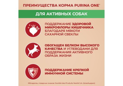 PURINA ONE MINI / Сухой корм Пурина УАН для взрослых собак мелких пород при активном образе жизни с курицей