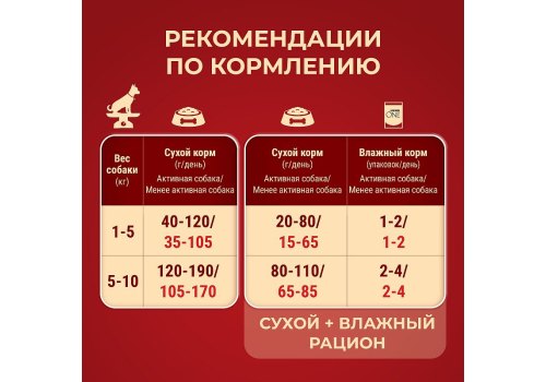 PURINA ONE MINI / Сухой корм Пурина УАН для взрослых собак мелких пород при активном образе жизни с курицей