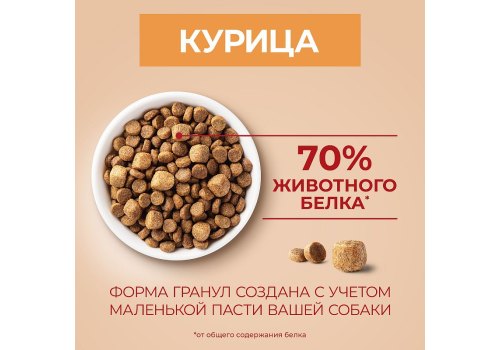 PURINA ONE MINI / Сухой корм Пурина УАН для взрослых собак мелких пород при активном образе жизни с курицей