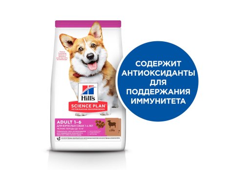 Hills Science Plan Small & Mini Adult Lamb & Rice / Сухой корм Хиллс для взрослых собак Мелких пород Ягненок рис