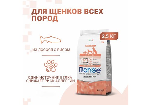Monge Dog Monoprotein Puppy & Junior Salmon with rice / Сухой корм Монж для Щенков всех пород Лосось с рисом