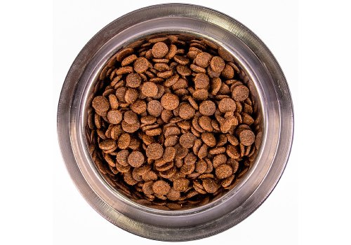 Monge Dog Puppy Medium / Сухой корм Монж для Щенков Средних пород