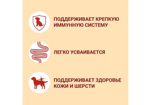 PURINA ONE MINI / Влажный корм Паучи Пурина УАН для взрослых собак мелких пород при активном образе жизни с говядиной (цена за упаковку)