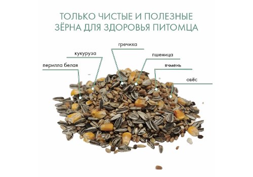 Fiory Classic / Корм Фиори для Крупных попугаев