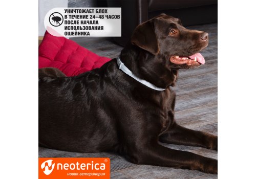 Rolf Club 3D / Ошейник Рольф Клуб от Клещей и Блох для Щенков и Мелких собак