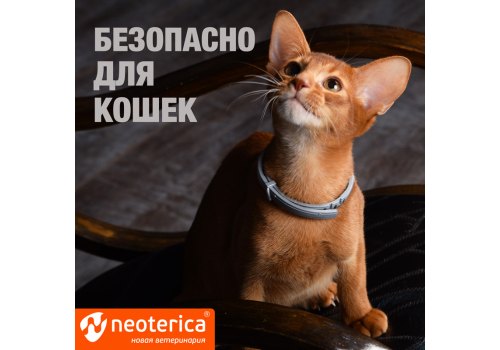 Rolf Club 3D / Ошейник Рольф Клуб от Клещей и Блох для кошек