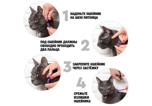 Relaxivet / Ошейник Успокоительный Релаксивет для кошек и собак Мелких пород при Стрессах Страхах и Возбуждении