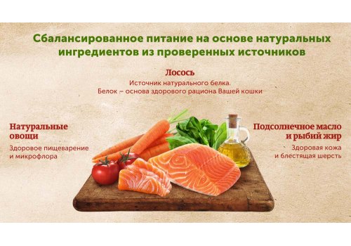 Natures Table / Паучи Нейчерс Тейбл для взрослых кошек Лосось в соусе (цена за упаковку) Natures Table / Паучи Нейчерс Тейбл для взрослых кошек Лосось в соусе (цена за упаковку)