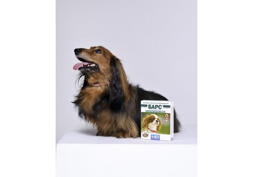АгроВетЗащита Барс / Ошейник Инсектоакарицидный для собак Мелких пород 35см